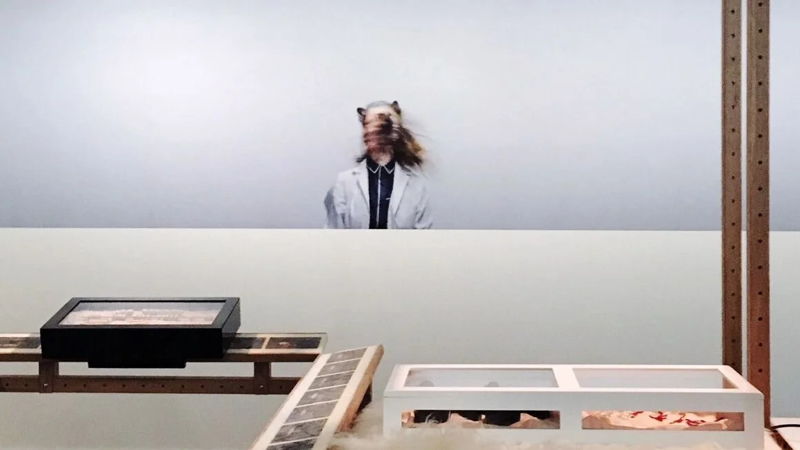 K-9_topology: CyberArts 2017 - Prix Ars Electronica Exhibition